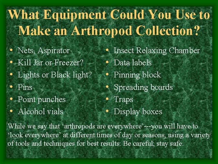 What Equipment Could You Use to Make an Arthropod Collection? • • • Nets,