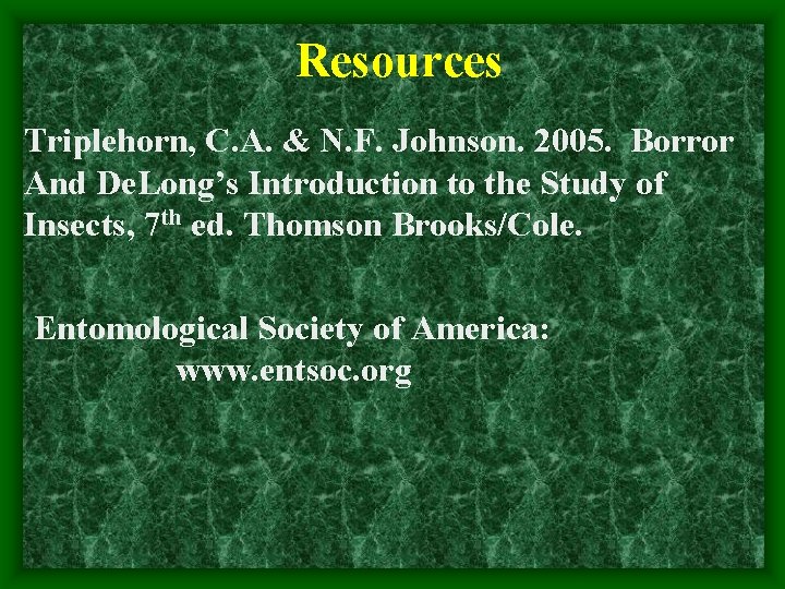 Resources Triplehorn, C. A. & N. F. Johnson. 2005. Borror And De. Long’s Introduction