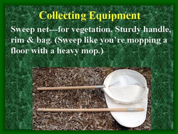 Collecting Equipment Sweep net---for vegetation. Sturdy handle, rim & bag. (Sweep like you’re mopping