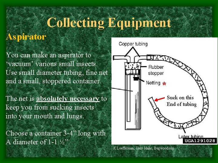 Collecting Equipment Aspirator You can make an aspirator to ‘vacuum’ various small insects. Use