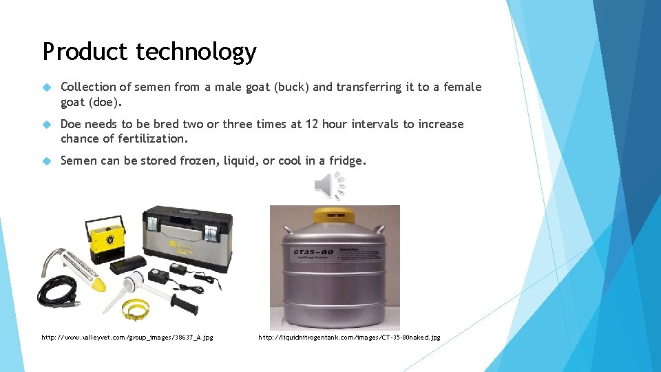 Product technology Collection of semen from a male goat (buck) and transferring it to
