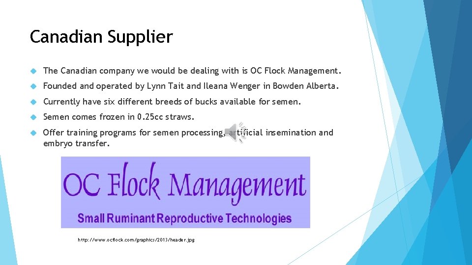 Canadian Supplier The Canadian company we would be dealing with is OC Flock Management.