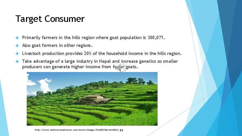Target Consumer Primarily farmers in the hills region where goat population is 300, 071.