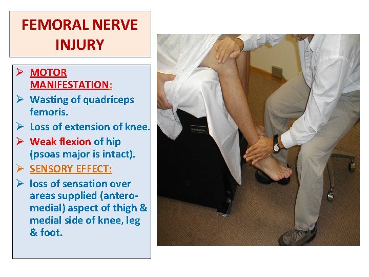 FEMORAL NERVE INJURY Ø MOTOR MANIFESTATION: Ø Wasting of quadriceps femoris. Ø Loss of