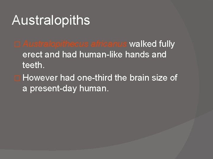 Australopiths � Australopithecus africanus walked fully erect and had human-like hands and teeth. �