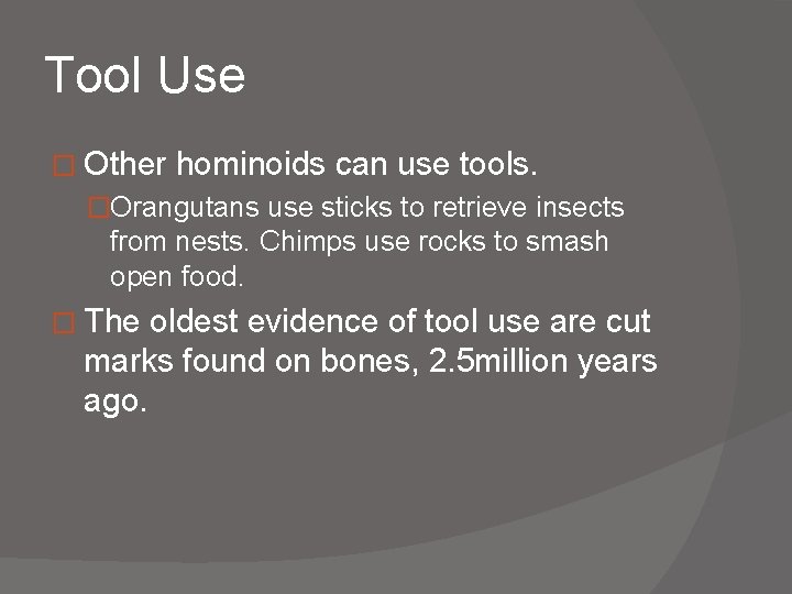 Tool Use � Other hominoids can use tools. �Orangutans use sticks to retrieve insects