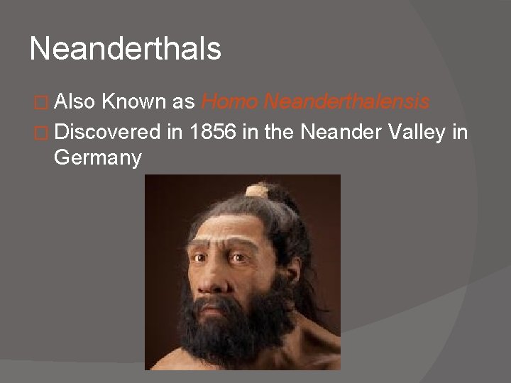 Neanderthals � Also Known as Homo Neanderthalensis � Discovered in 1856 in the Neander