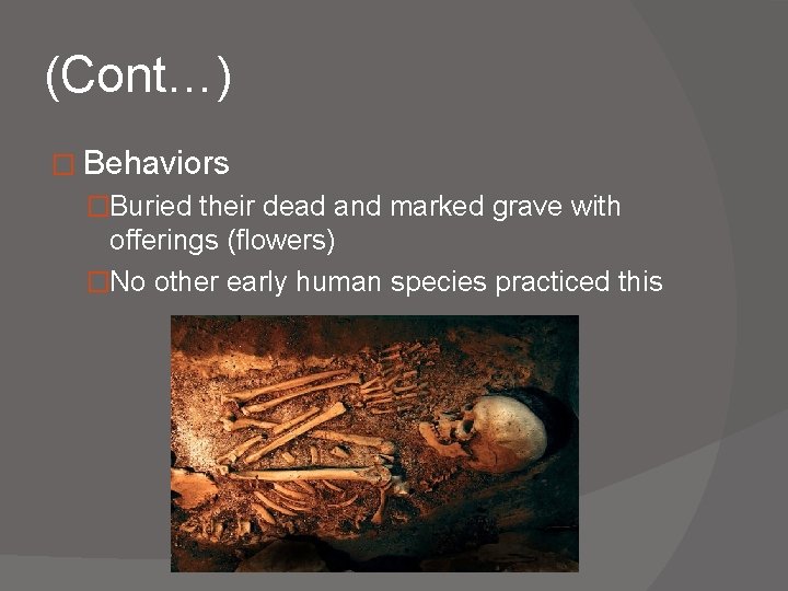 (Cont…) � Behaviors �Buried their dead and marked grave with offerings (flowers) �No other