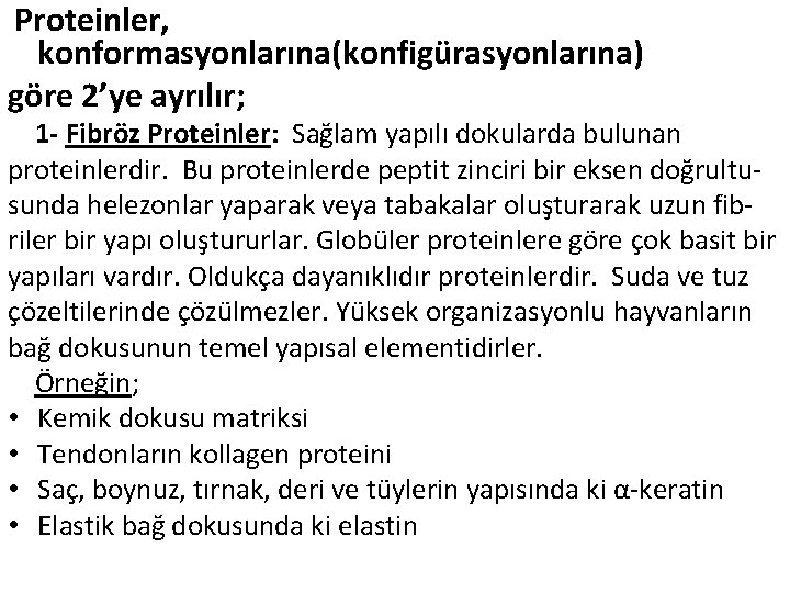  Proteinler, konformasyonlarına(konfigürasyonlarına) göre 2’ye ayrılır; 1 - Fibröz Proteinler: Sağlam yapılı dokularda bulunan