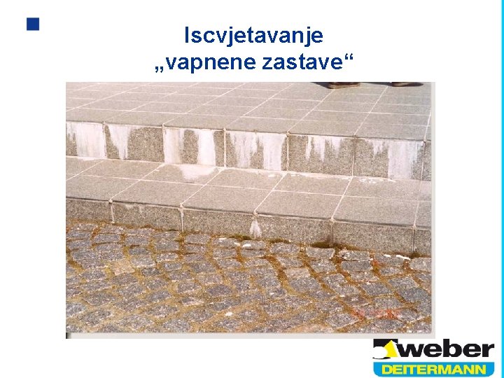 Iscvjetavanje „vapnene zastave“ 