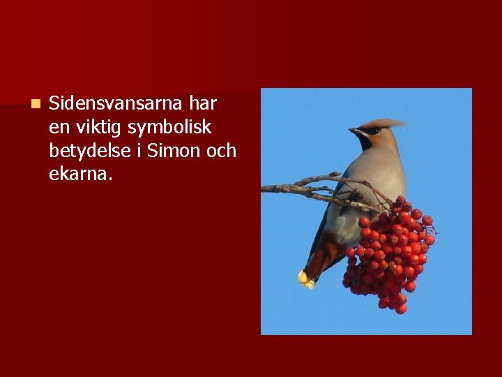 n Sidensvansarna har en viktig symbolisk betydelse i Simon och ekarna. 