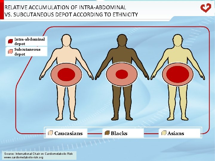 RELATIVE ACCUMULATION OF INTRA-ABDOMINAL VS. SUBCUTANEOUS DEPOT ACCORDING TO ETHNICITY Intra-abdominal depot Subcutaneous depot