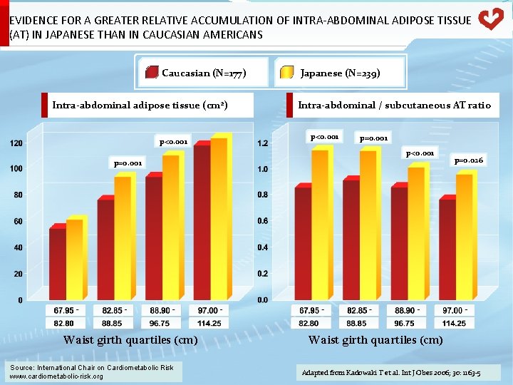 EVIDENCE FOR A GREATER RELATIVE ACCUMULATION OF INTRA-ABDOMINAL ADIPOSE TISSUE (AT) IN JAPANESE THAN