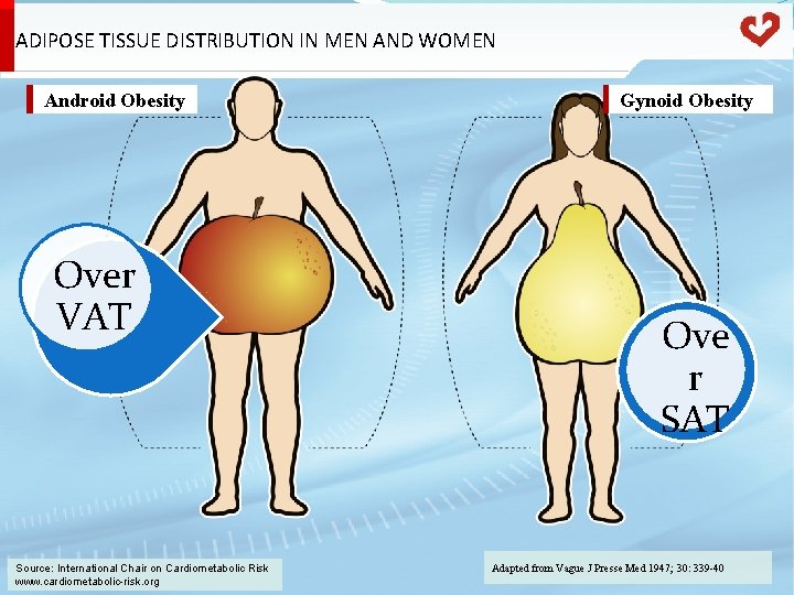 ADIPOSE TISSUE DISTRIBUTION IN MEN AND WOMEN Android Obesity Over VAT Source: International Chair