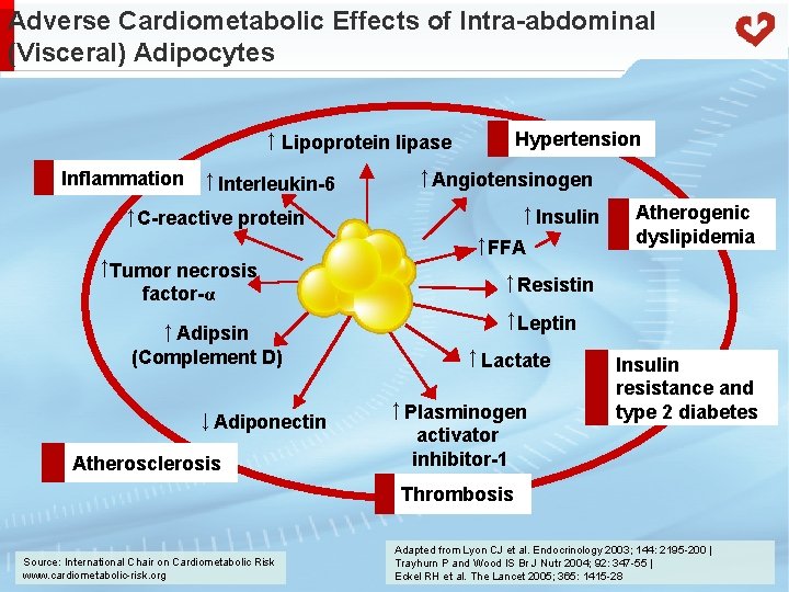 Adverse Cardiometabolic Effects of Intra-abdominal (Visceral) Adipocytes ↑ Lipoprotein lipase Inflammation ↑ Interleukin-6 Hypertension