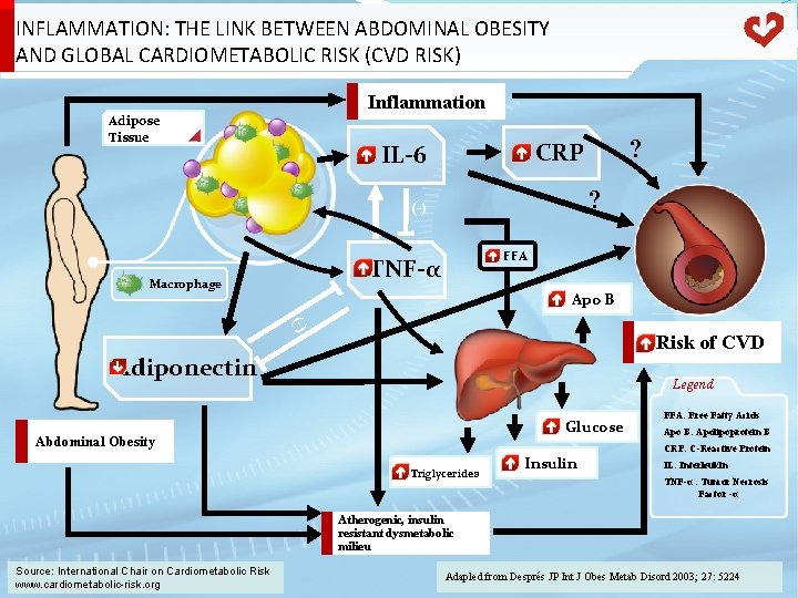 INFLAMMATION: THE LINK BETWEEN ABDOMINAL OBESITY AND GLOBAL CARDIOMETABOLIC RISK (CVD RISK) Inflammation Adipose