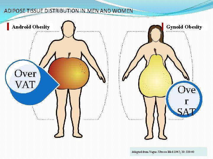 ADIPOSE TISSUE DISTRIBUTION IN MEN AND WOMEN Android Obesity Over VAT Gynoid Obesity Ove