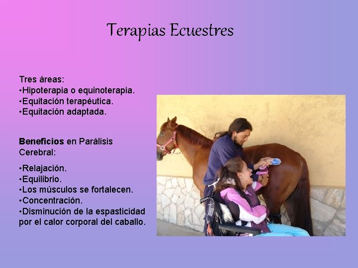 Terapias Ecuestres Tres áreas: • Hipoterapia o equinoterapia. • Equitación terapéutica. • Equitación adaptada.