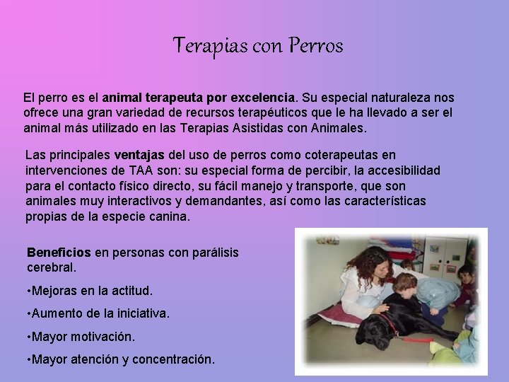 Terapias con Perros El perro es el animal terapeuta por excelencia. Su especial naturaleza