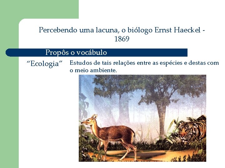 Percebendo uma lacuna, o biólogo Ernst Haeckel 1869 Propôs o vocábulo “Ecologia” Estudos de