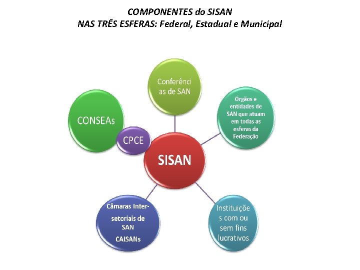 COMPONENTES do SISAN NAS TRÊS ESFERAS: Federal, Estadual e Municipal 