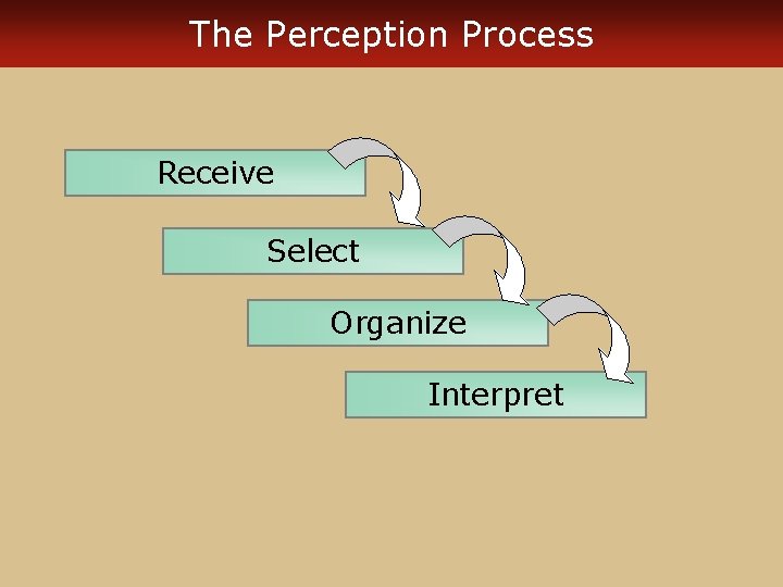 The Perception Process Receive Select Organize Interpret 