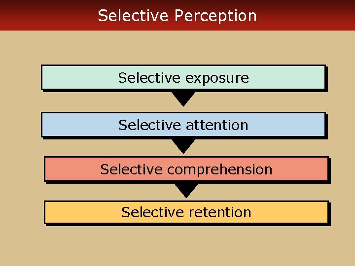 Selective Perception Selective exposure Selective attention Selective comprehension Selective retention 