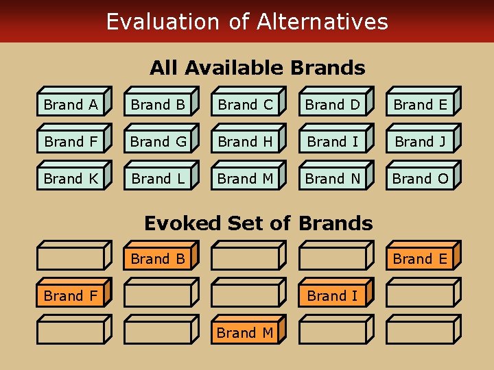 Evaluation of Alternatives All Available Brands Brand A Brand B Brand C Brand D