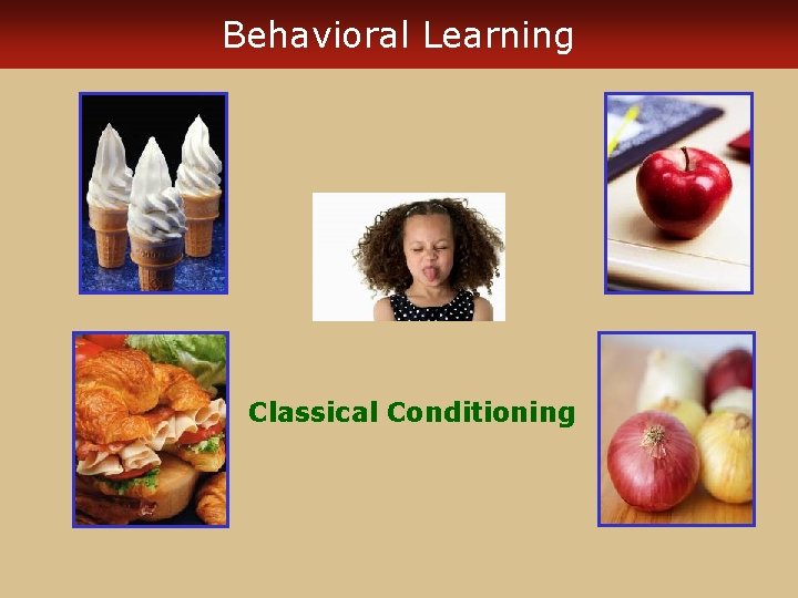 Behavioral Learning Classical Conditioning 