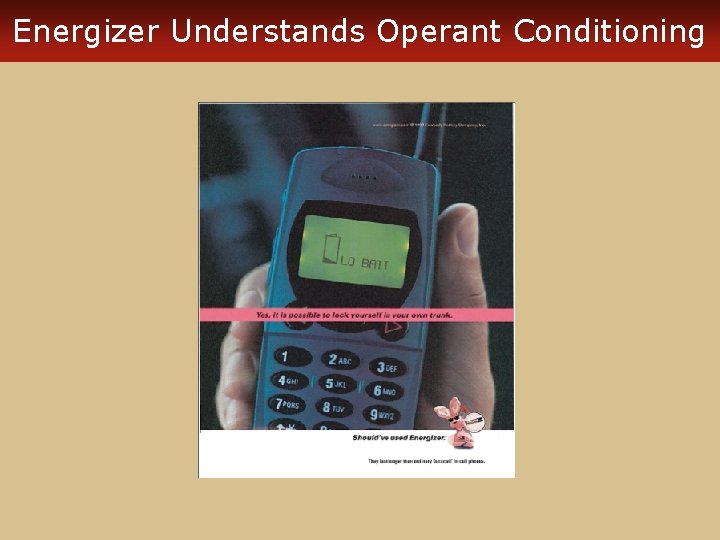 Energizer Understands Operant Conditioning 