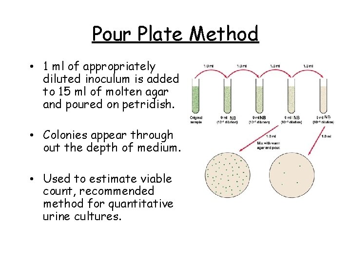 Pour Plate Method • 1 ml of appropriately diluted inoculum is added to 15