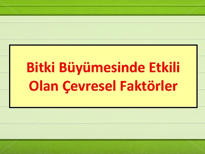 Bitki Büyümesinde Etkili Olan Çevresel Faktörler 