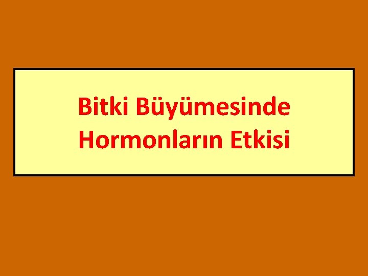 Bitki Büyümesinde Hormonların Etkisi 