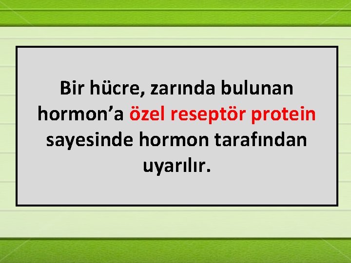 Bir hücre, zarında bulunan hormon’a özel reseptör protein sayesinde hormon tarafından uyarılır. 