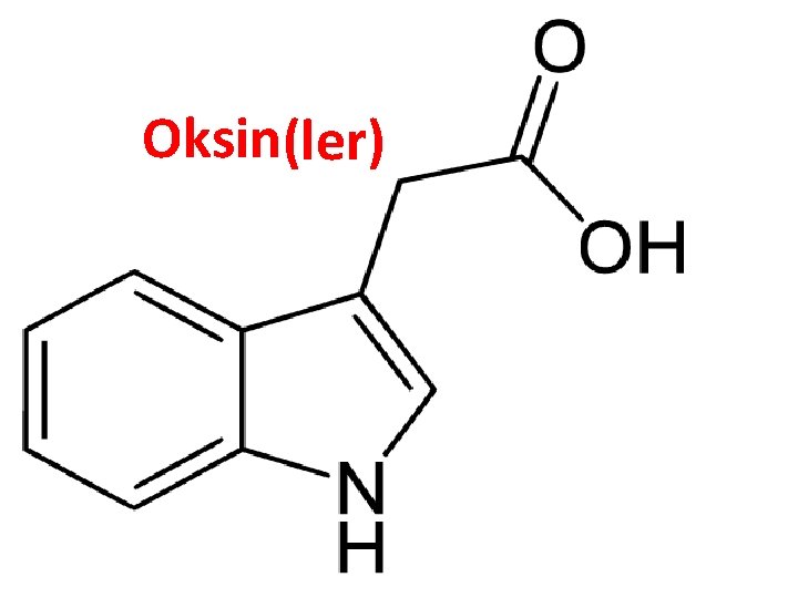 Oksin(ler) 