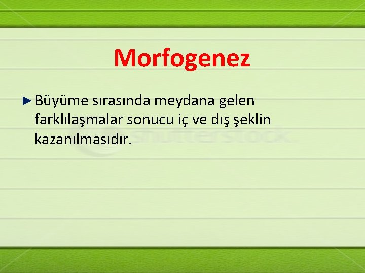 Morfogenez ► Büyüme sırasında meydana gelen farklılaşmalar sonucu iç ve dış şeklin kazanılmasıdır. 