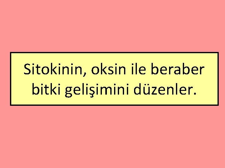 Sitokinin, oksin ile beraber bitki gelişimini düzenler. 