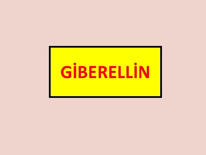 GİBERELLİN 