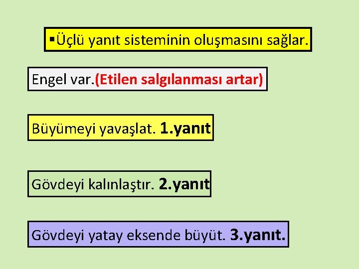 §Üçlü yanıt sisteminin oluşmasını sağlar. Engel var. (Etilen salgılanması artar) Büyümeyi yavaşlat. 1. yanıt