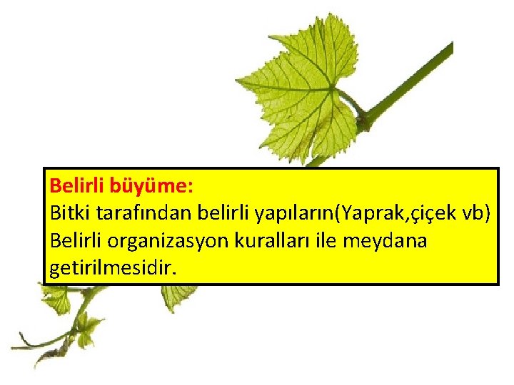 Belirli büyüme: Bitki tarafından belirli yapıların(Yaprak, çiçek vb) Belirli organizasyon kuralları ile meydana getirilmesidir.