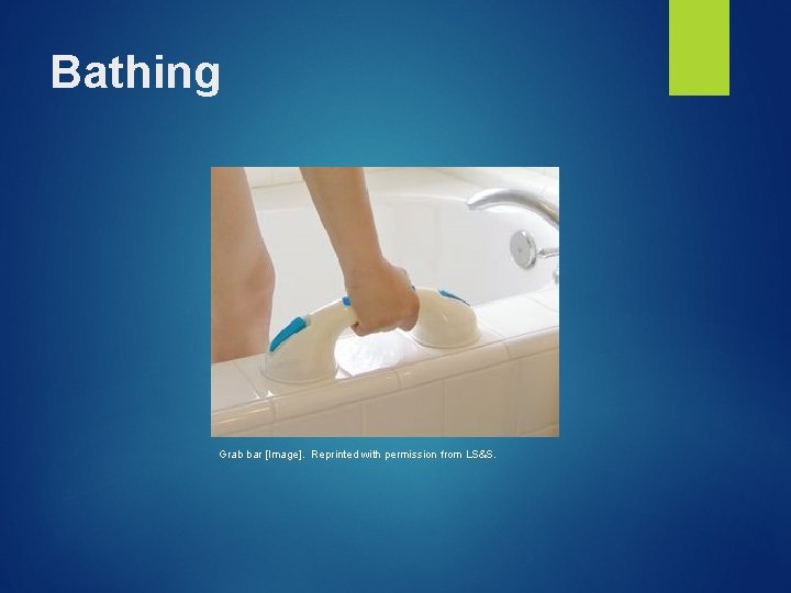 Bathing Grab bar [Image]. Reprinted with permission from LS&S. 