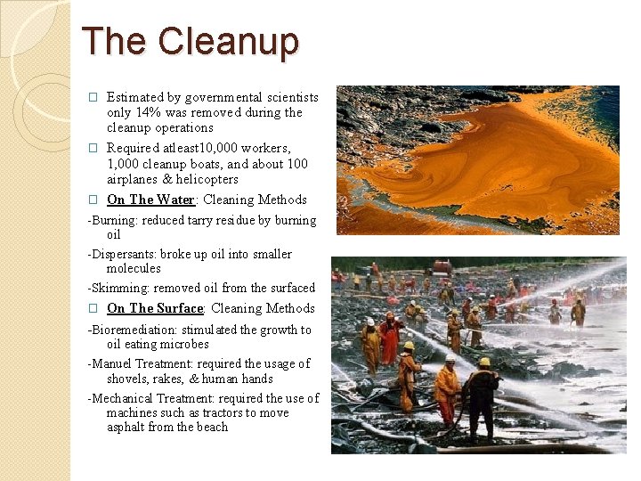 The Cleanup Estimated by governmental scientists only 14% was removed during the cleanup operations