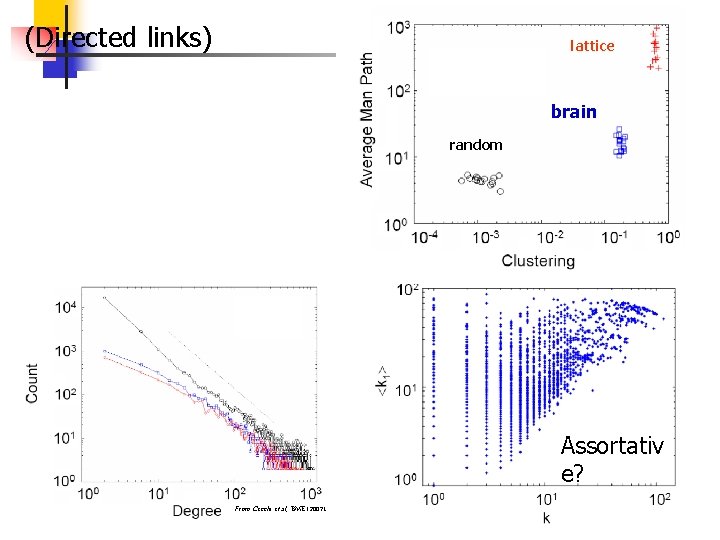 (Directed links) lattice brain random Assortativ e? From Cecchi et al, BME (2007). 18