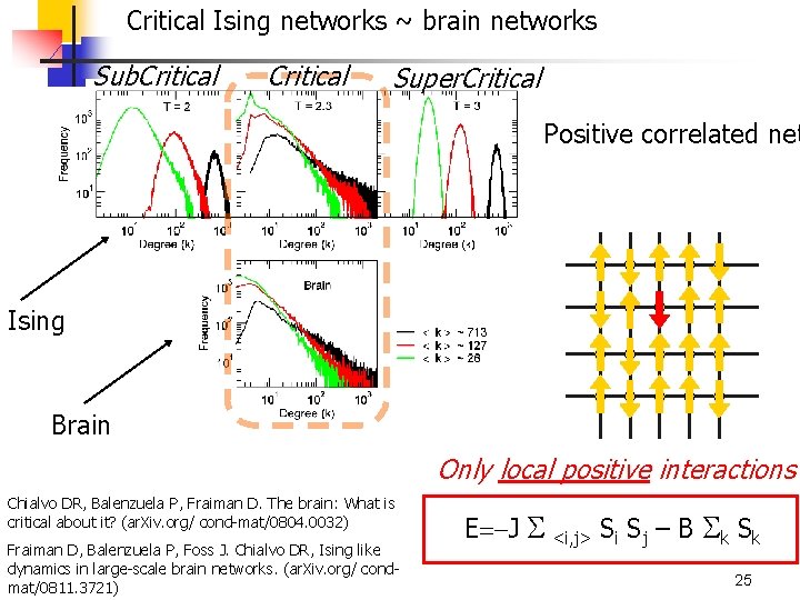 Critical Ising networks ~ brain networks Sub. Critical Super. Critical Positive correlated net Ising