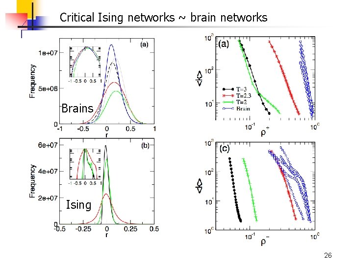 Critical Ising networks ~ brain networks Brains Ising 26 