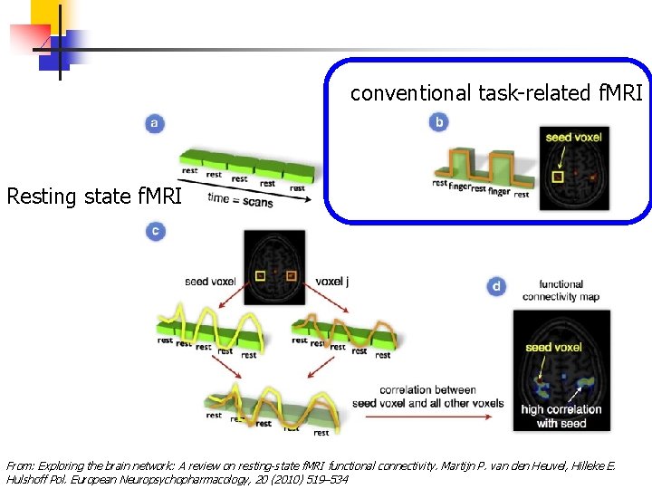 conventional task-related f. MRI Resting state f. MRI From: Exploring the brain network: A