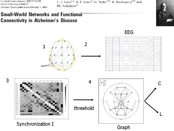 EEG 1 3 2 4 C threshold Synchronization I L Graph 