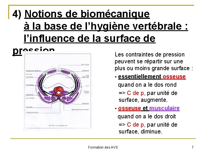 4) Notions de biomécanique à la base de l’hygiène vertébrale : l’influence de la