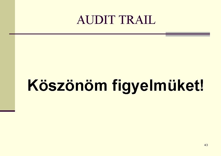 AUDIT TRAIL Köszönöm figyelmüket! 43 