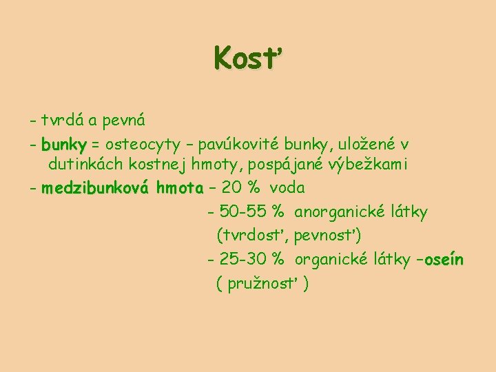 Kosť - tvrdá a pevná - bunky = osteocyty – pavúkovité bunky, uložené v